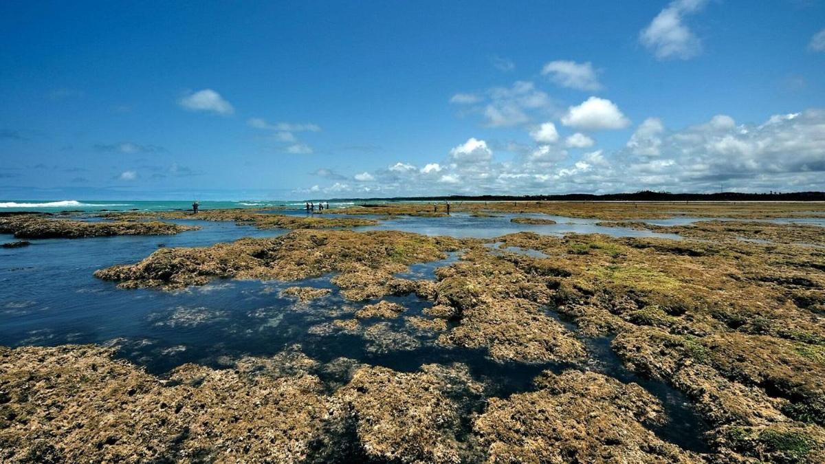 Abaetetuba Pousada Сан-Мигел-дус-Милагрис Экстерьер фото